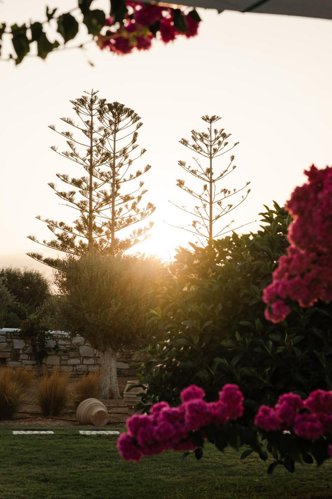 White Dunes Luxury Boutique Hotel 圣玛丽亚 外观 照片